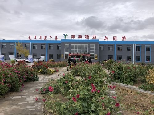 Хятад- Монголын хамтарсан сурвалжилгын баг:  Ядуурлыг бууруулах үйлсэд эрчимтэй ажиллаж буй Ян ян компани